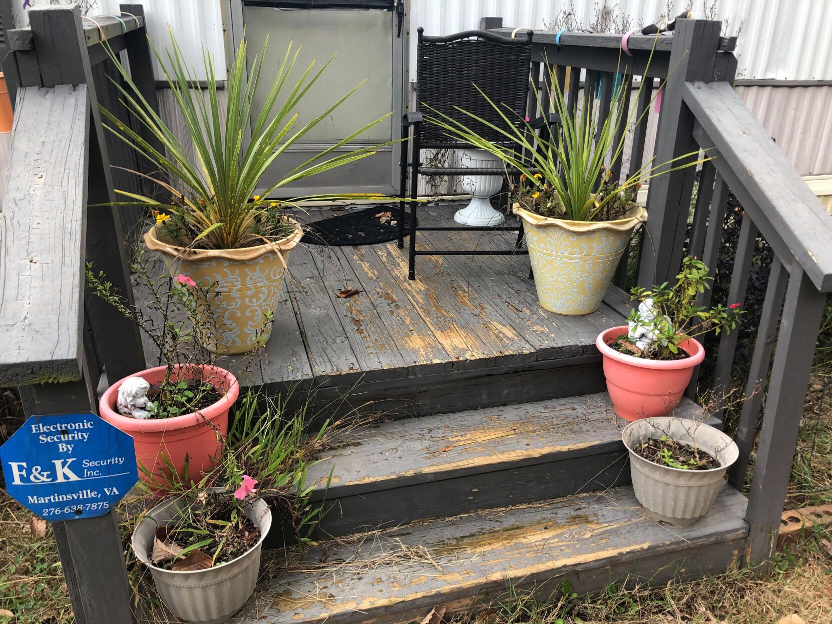 JV plants